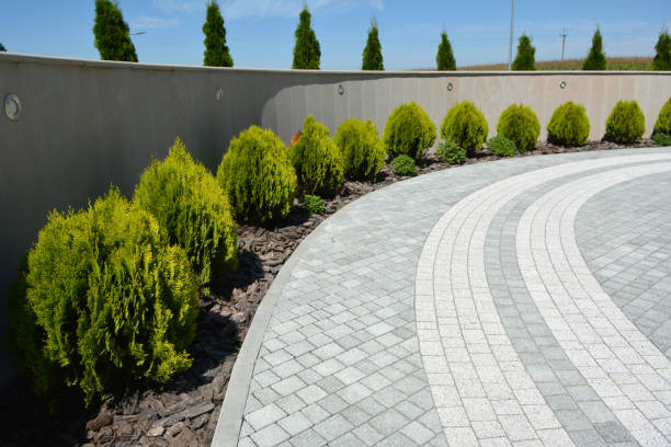 Best Affordable Driveway Pavers  in USA